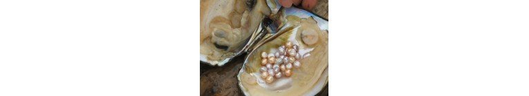 Pearl Jewellery